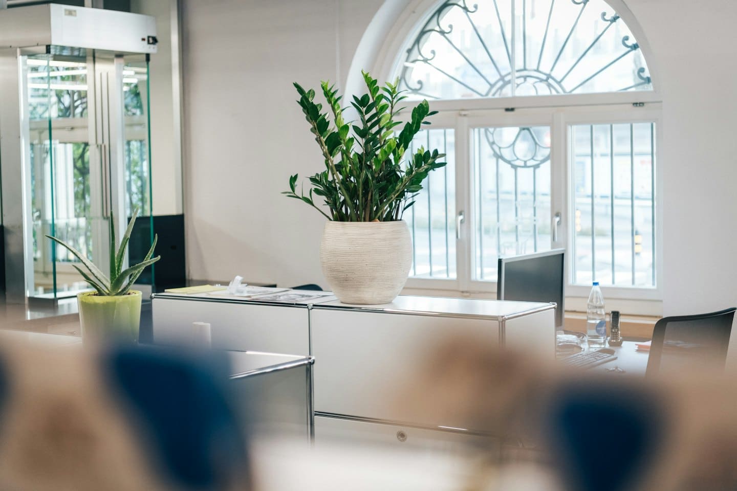 Elegant potted plant on a modern office storage unit.